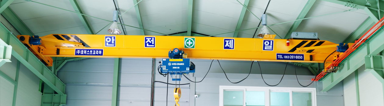 Single Girder Hoist Crane 